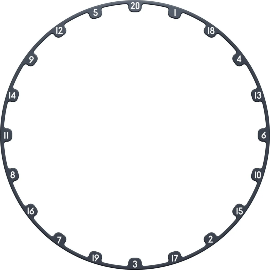 TARGET DARTS TOR EVO DARTBOARD