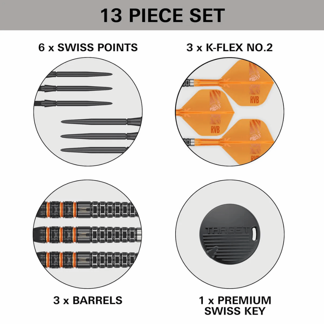 TARGET RAYMOND VAN BARNEVELD 95K SP 95% TUNGSTEN STEEL TIP DARTS