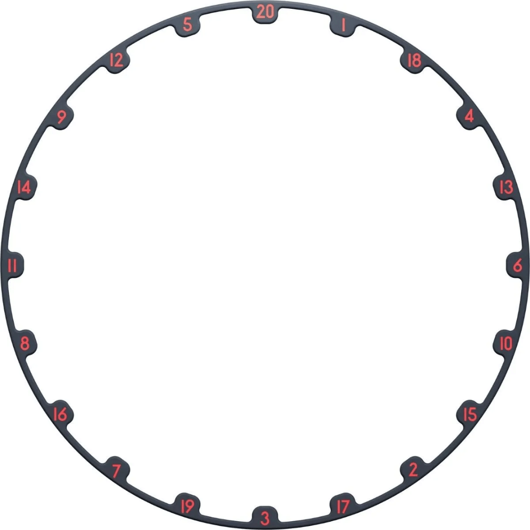 TARGET DARTS TOR EVO DARTBOARD